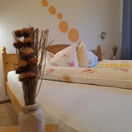 Nancy Appartement